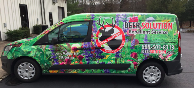 Bold Vehicle Wrap